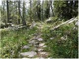 End of road on Vogar - Planina Lopučnica